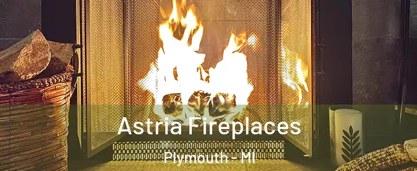  Astria Fireplaces Plymouth - MI