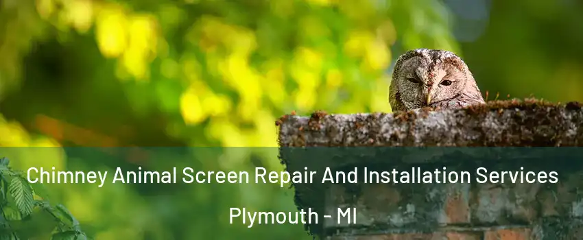  Chimney Animal Screen Repair And Installation Services Plymouth - MI