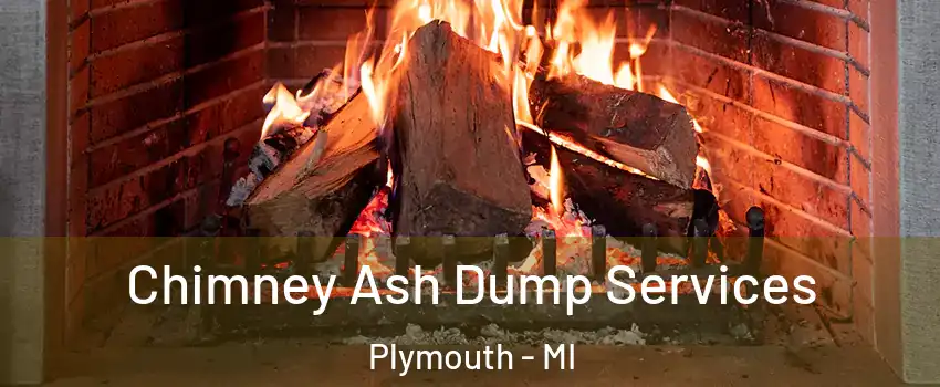  Chimney Ash Dump Services Plymouth - MI