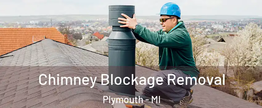  Chimney Blockage Removal Plymouth - MI