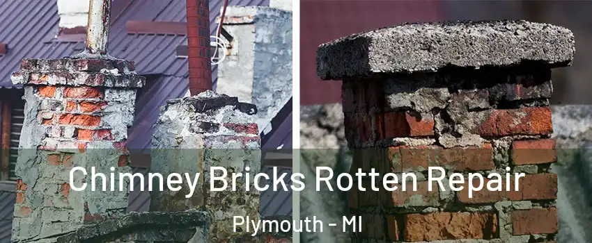  Chimney Bricks Rotten Repair Plymouth - MI