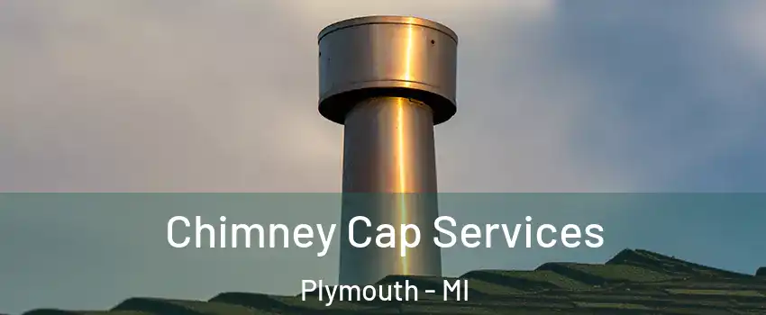  Chimney Cap Services Plymouth - MI