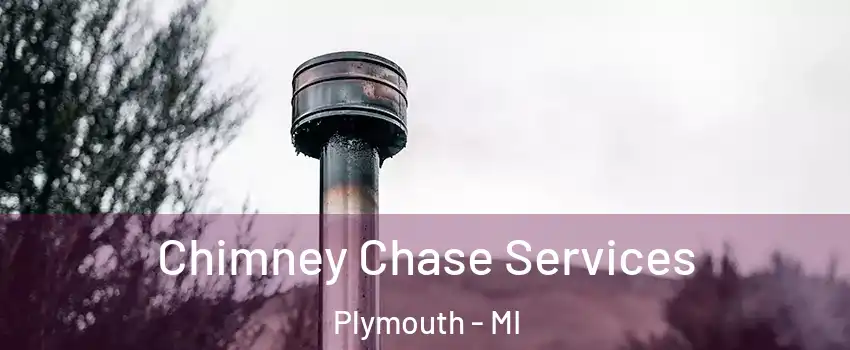  Chimney Chase Services Plymouth - MI