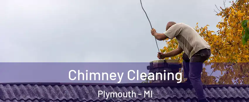  Chimney Cleaning Plymouth - MI