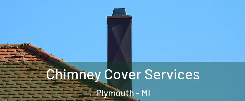  Chimney Cover Services Plymouth - MI