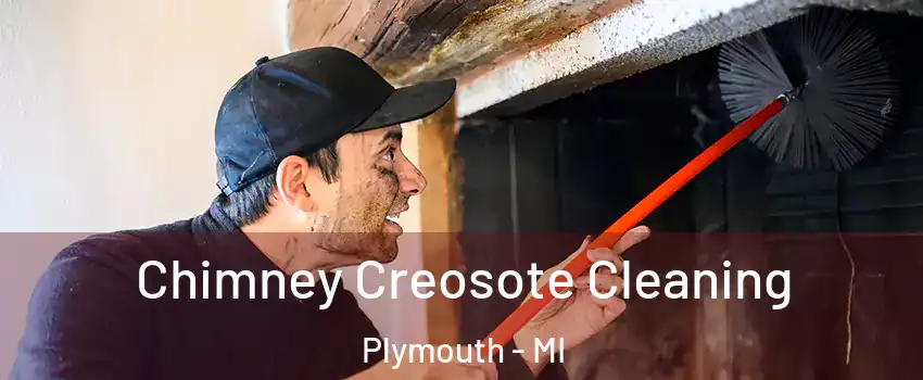  Chimney Creosote Cleaning Plymouth - MI