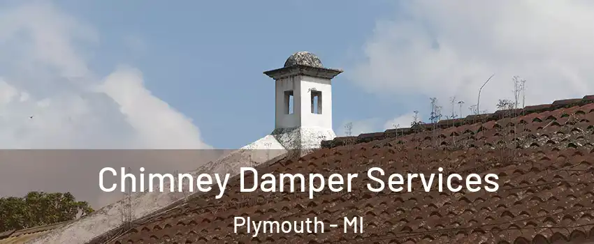  Chimney Damper Services Plymouth - MI