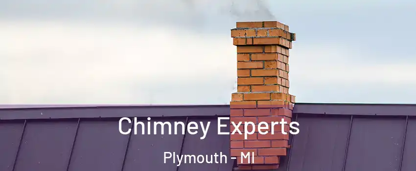  Chimney Experts Plymouth - MI