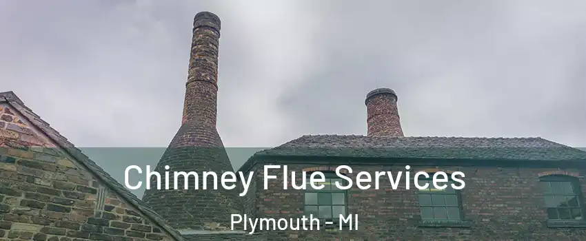  Chimney Flue Services Plymouth - MI