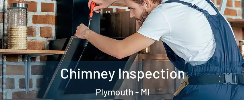  Chimney Inspection Plymouth - MI