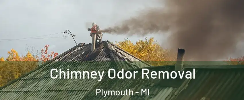  Chimney Odor Removal Plymouth - MI