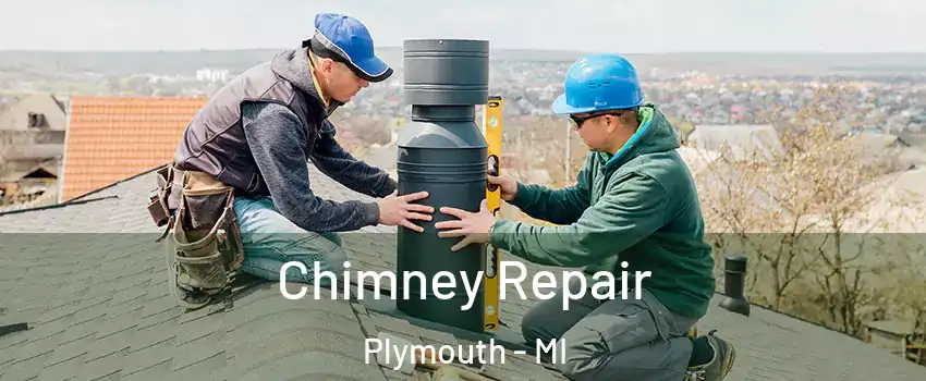  Chimney Repair Plymouth - MI