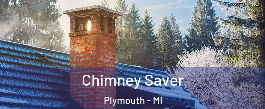  Chimney Saver Plymouth - MI