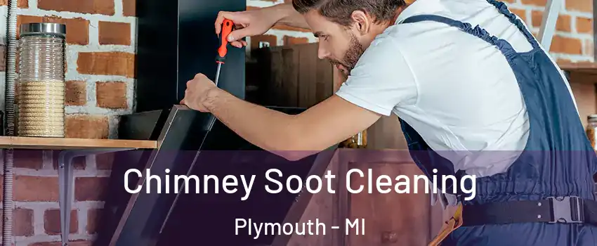 Chimney Soot Cleaning Plymouth - MI