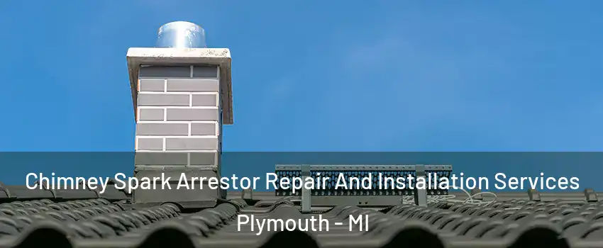  Chimney Spark Arrestor Repair And Installation Services Plymouth - MI