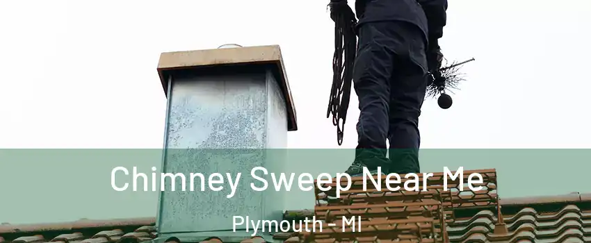  Chimney Sweep Near Me Plymouth - MI
