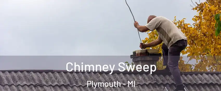  Chimney Sweep Plymouth - MI