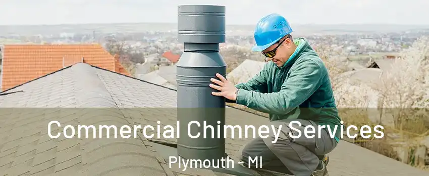  Commercial Chimney Services Plymouth - MI