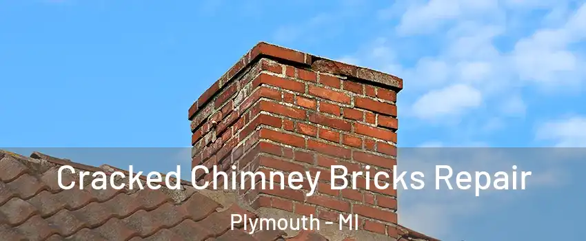  Cracked Chimney Bricks Repair Plymouth - MI