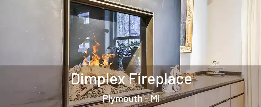  Dimplex Fireplace Plymouth - MI
