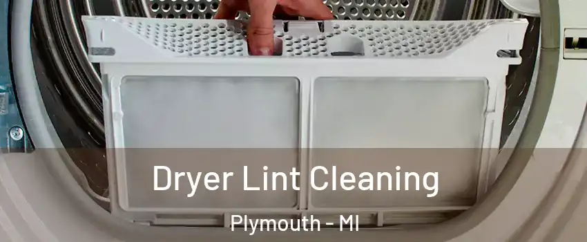  Dryer Lint Cleaning Plymouth - MI