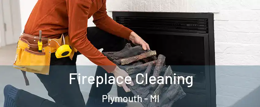  Fireplace Cleaning Plymouth - MI