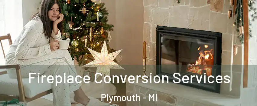  Fireplace Conversion Services Plymouth - MI