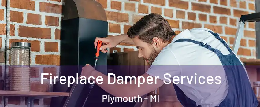  Fireplace Damper Services Plymouth - MI