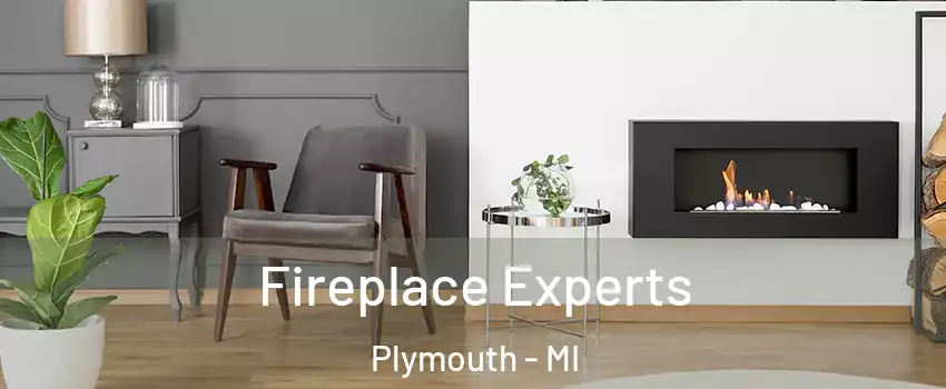  Fireplace Experts Plymouth - MI