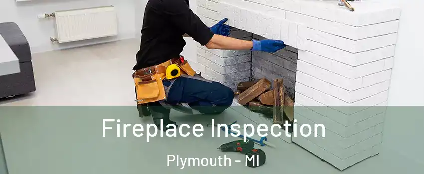  Fireplace Inspection Plymouth - MI
