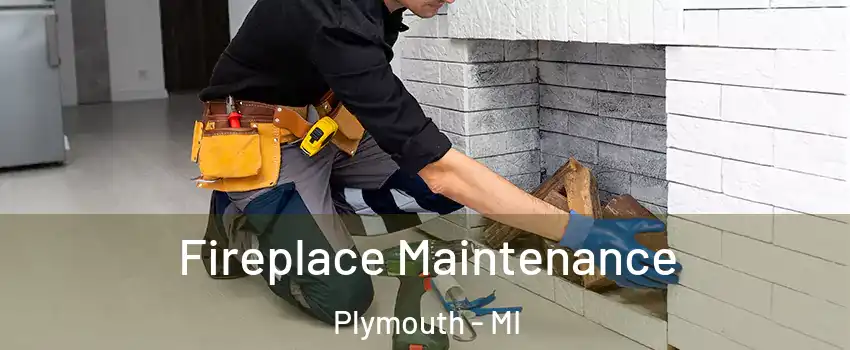  Fireplace Maintenance Plymouth - MI