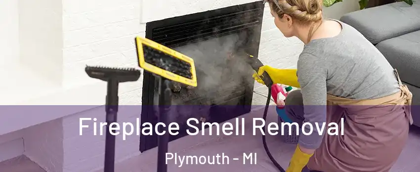  Fireplace Smell Removal Plymouth - MI