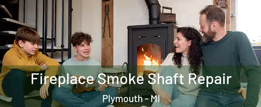  Fireplace Smoke Shaft Repair Plymouth - MI