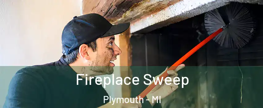  Fireplace Sweep Plymouth - MI
