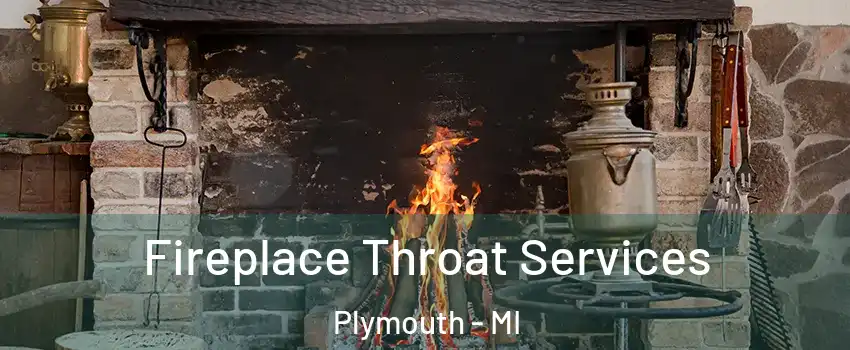  Fireplace Throat Services Plymouth - MI