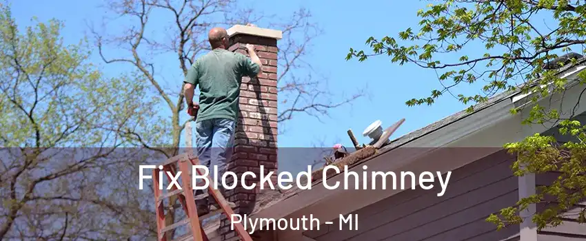  Fix Blocked Chimney Plymouth - MI