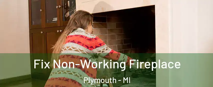  Fix Non-Working Fireplace Plymouth - MI