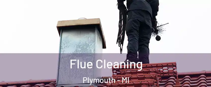 Flue Cleaning Plymouth - MI