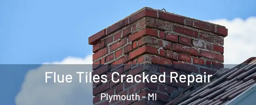  Flue Tiles Cracked Repair Plymouth - MI