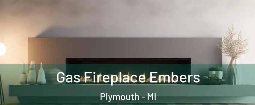 Gas Fireplace Embers Plymouth - MI