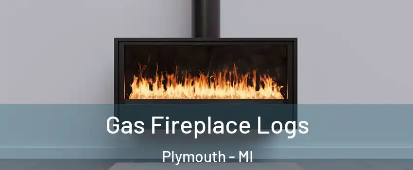  Gas Fireplace Logs Plymouth - MI