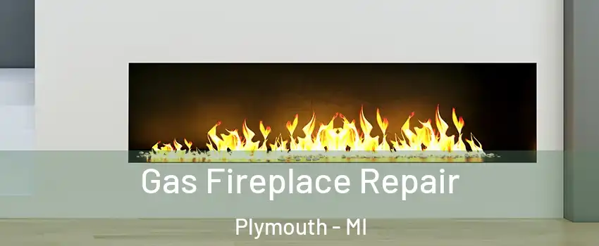  Gas Fireplace Repair Plymouth - MI