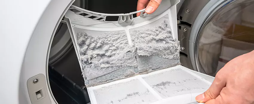 Best Dryer Lint Removal Company in Plymouth, Michigan