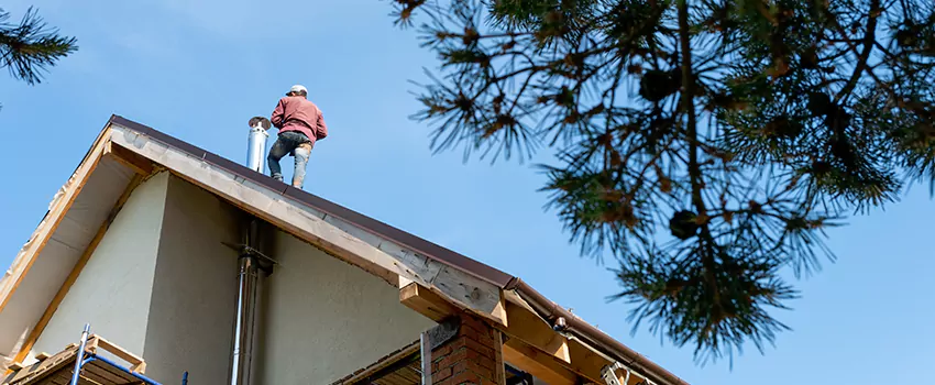 Birds Removal Contractors from Chimney in Plymouth, MI