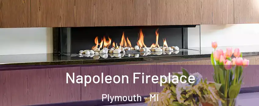  Napoleon Fireplace Plymouth - MI