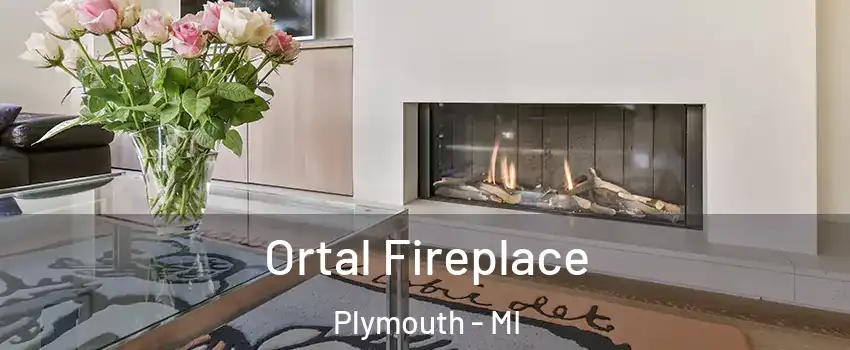  Ortal Fireplace Plymouth - MI
