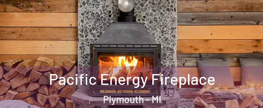  Pacific Energy Fireplace Plymouth - MI