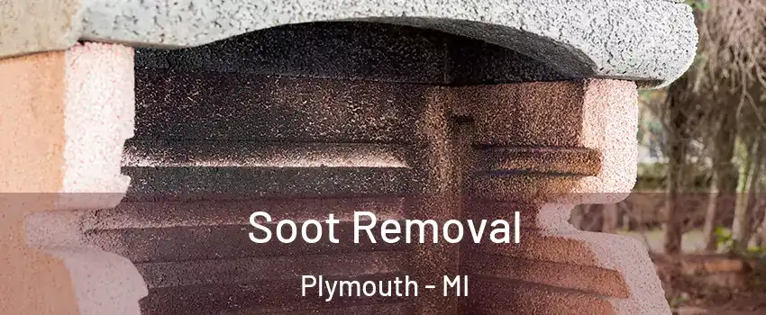  Soot Removal Plymouth - MI