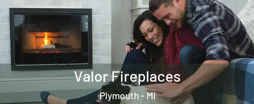  Valor Fireplaces Plymouth - MI