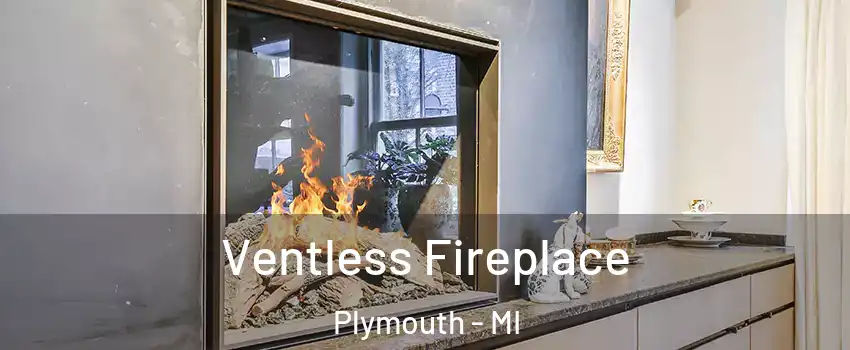  Ventless Fireplace Plymouth - MI